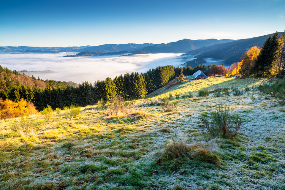 Häusleberg bei Oberried