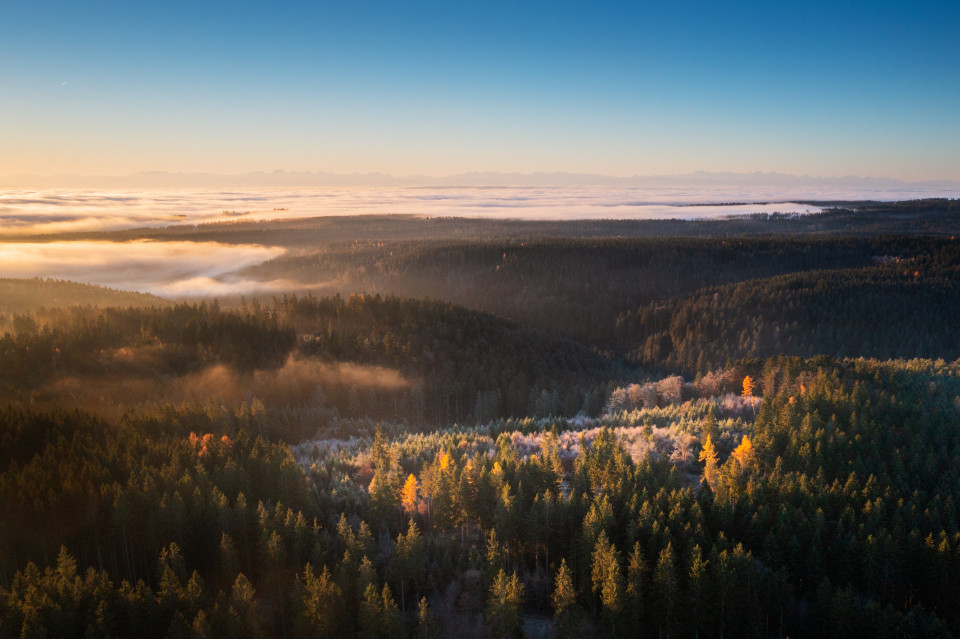 Blick über das Erlenbachtal