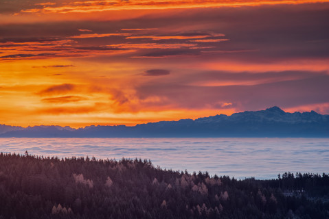 Morgenrot über den Alpen