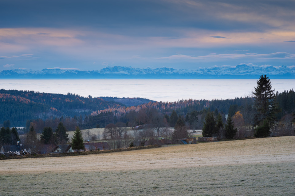 Blick über Schönenbach zu den Alpen