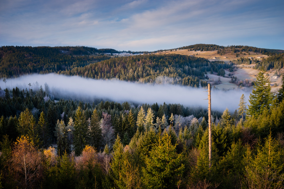 Spätherbststimmung bei Blasiwald