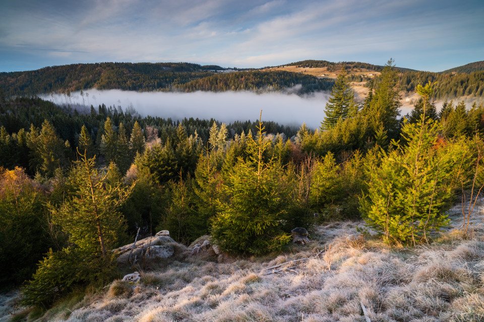 Spätherbststimmung bei Blasiwald