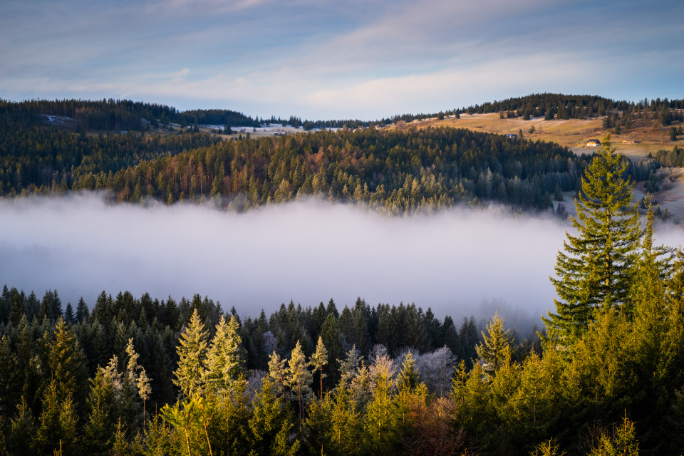 Spätherbststimmung bei Blasiwald