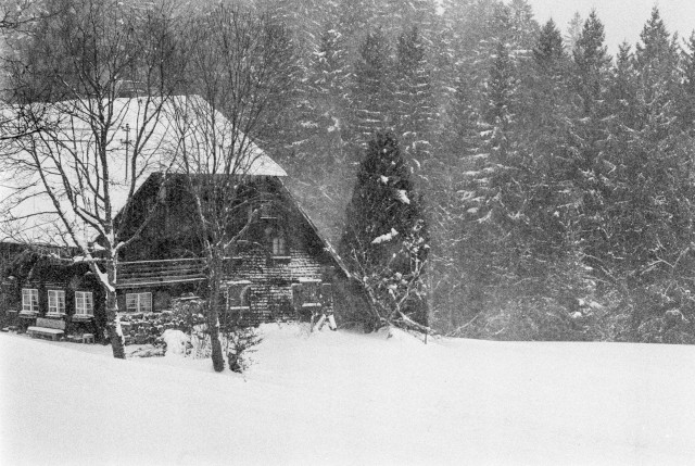 Schneefall auf der Winterhalde