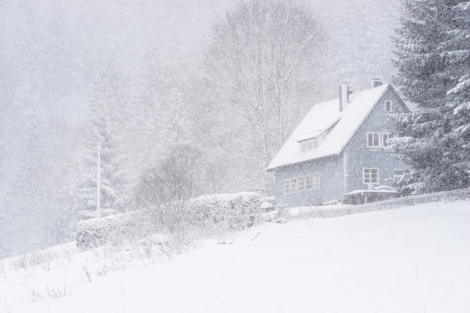 Schneefall auf der Winterhalde