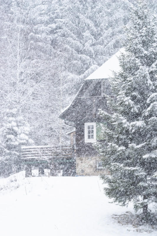 Schneefall auf der Winterhalde