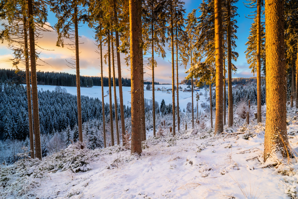 Blick nach Balzhausen