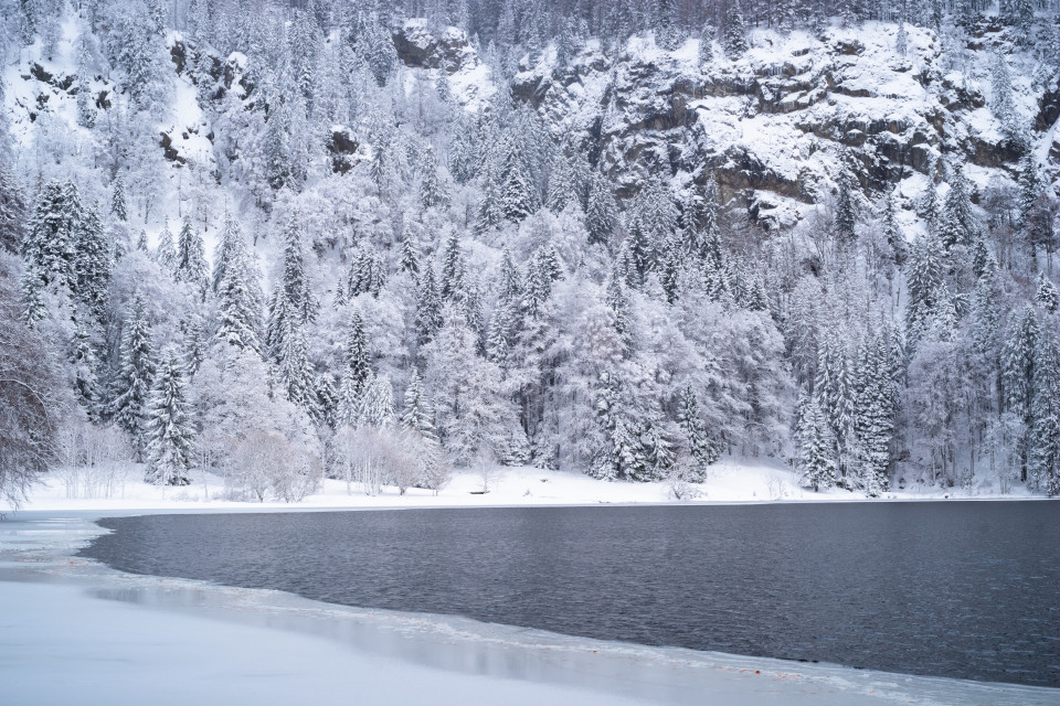 Winter am Feldsee