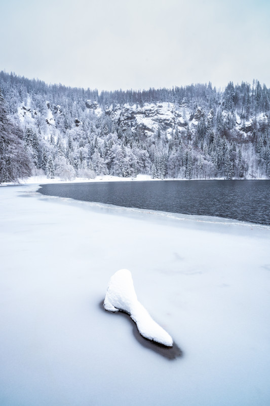 Winter am Feldsee