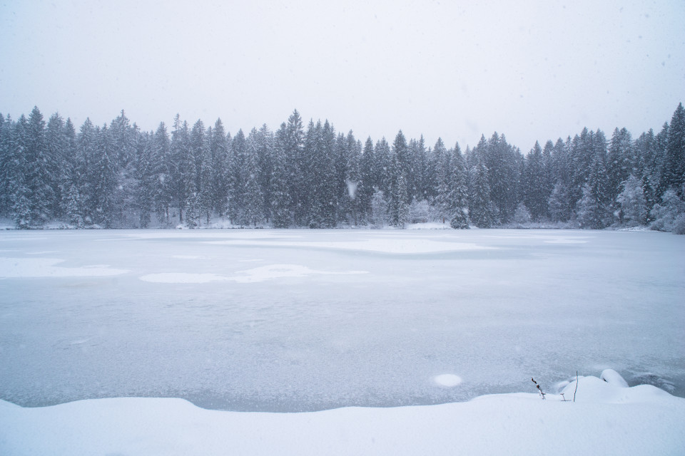 Mathisleweiher im Winter