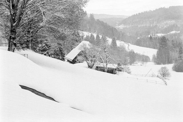 Winterlandschaft im Seebachtal