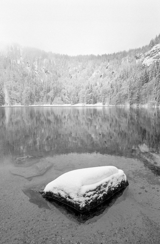 Winter am Feldsee