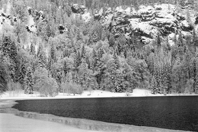 Winter am Feldsee