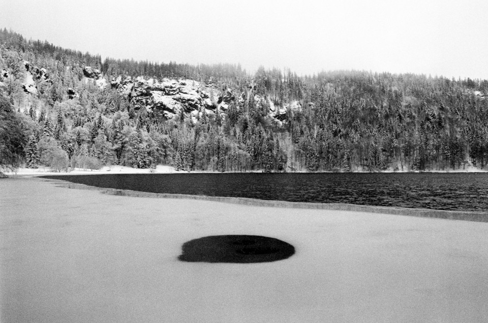 Winter am Feldsee