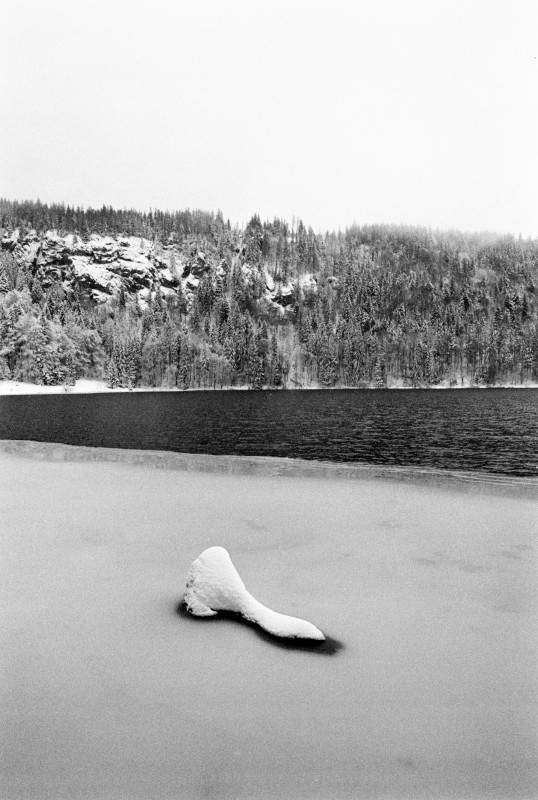 Winter am Feldsee