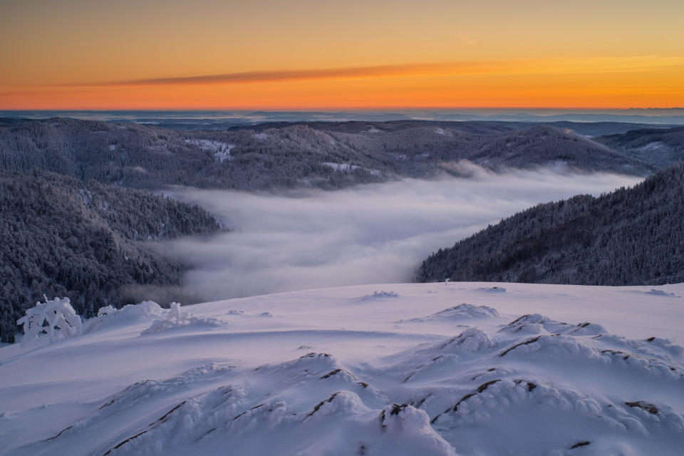 Blick über das Krunkelbachtal