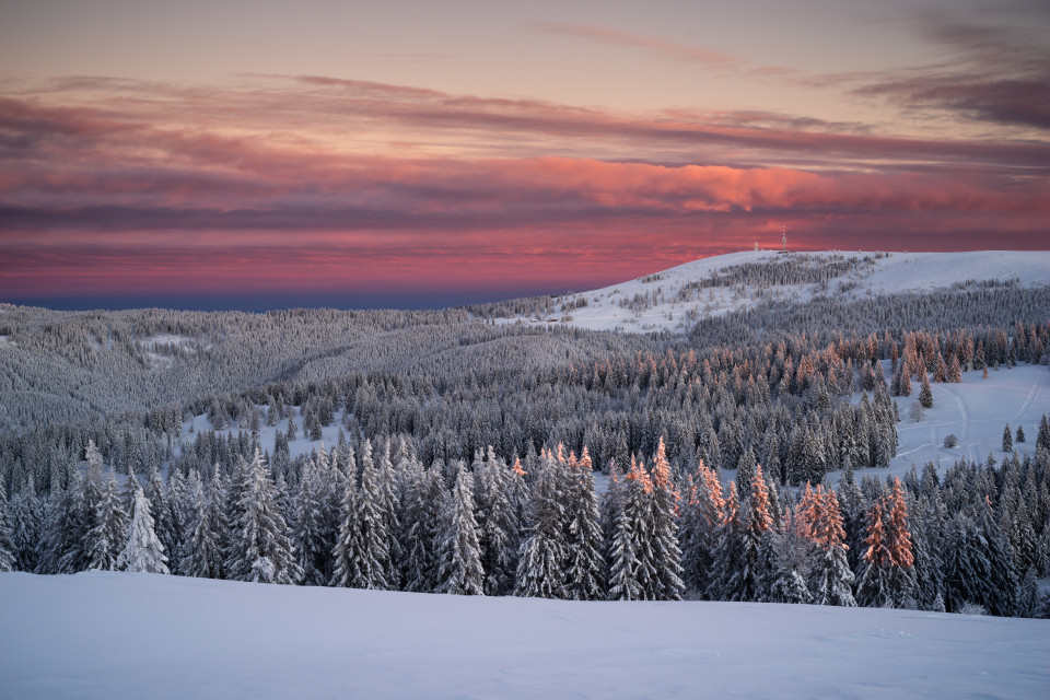 Blick zum Feldberg im Morgenlicht