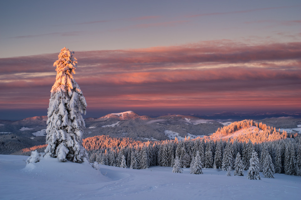 Morgenstimmung auf dem Herzogenhorn