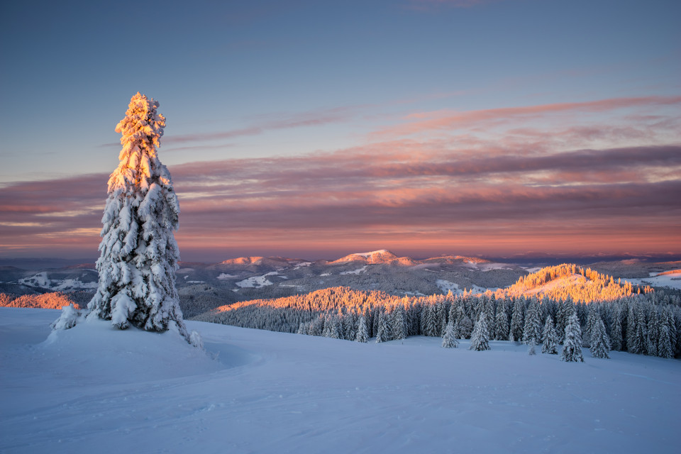 Morgenstimmung auf dem Herzogenhorn