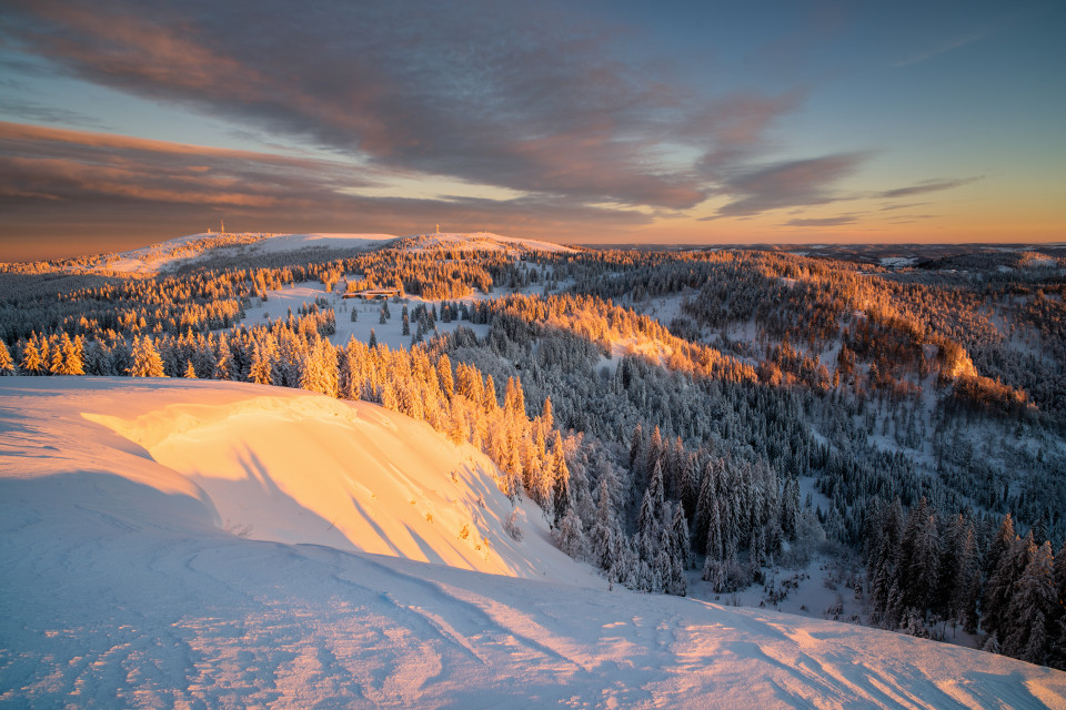 Blick zum Feldberg im Morgenlicht