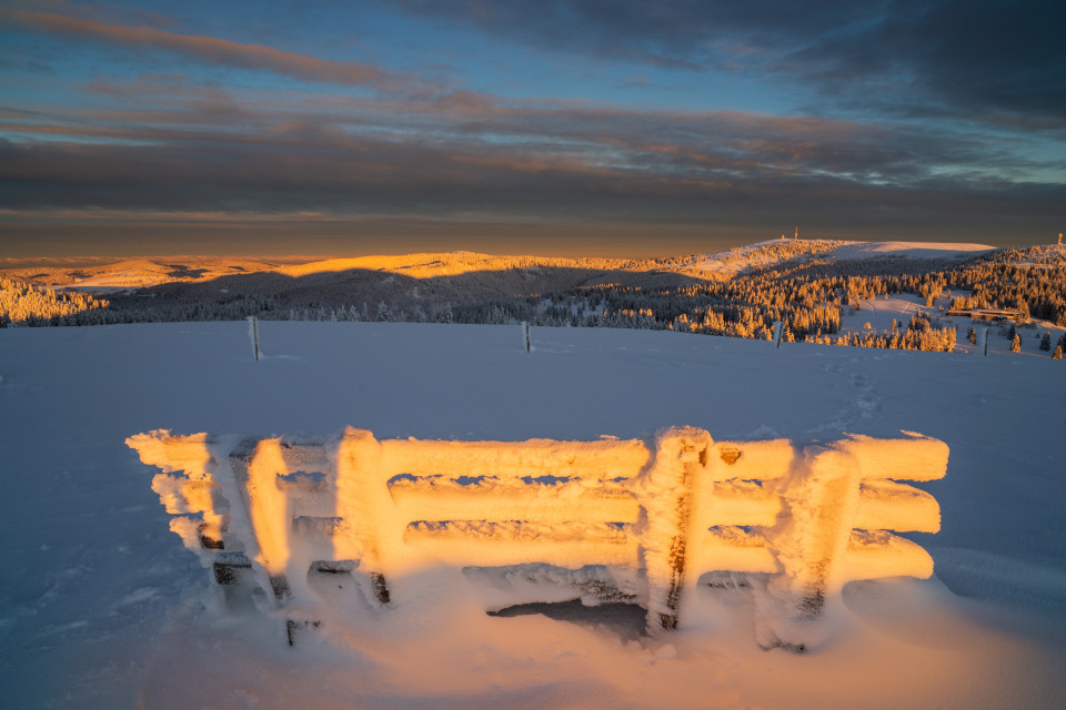 Blick zum Feldberg im Morgenlicht