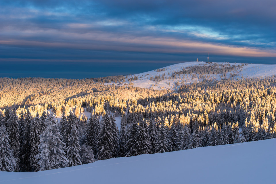 Blick zum Feldberg