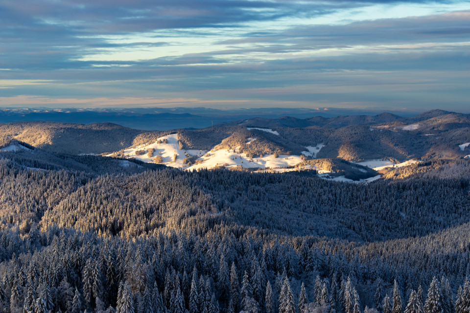 Blick vom Herzogenhorn über das Wiesental zum Jura