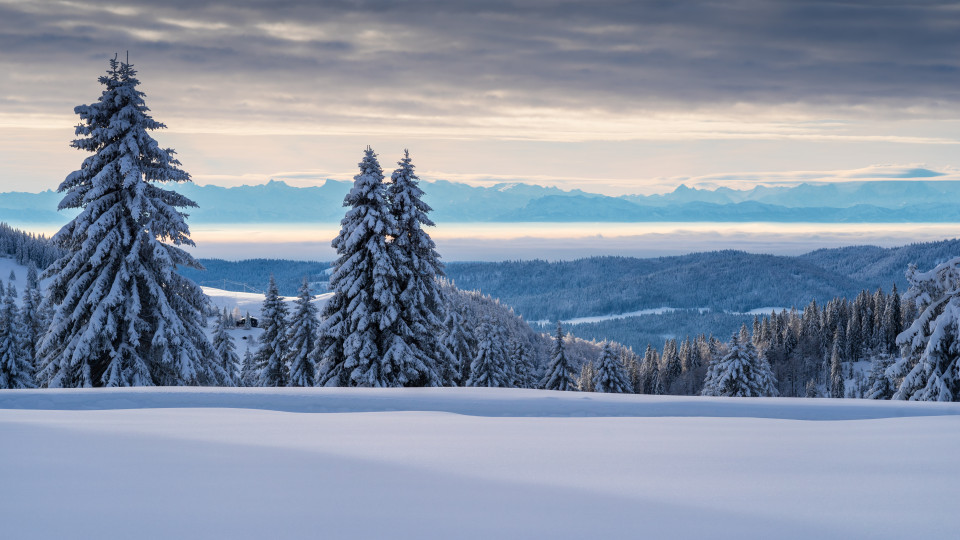 Alpenblick von der Grafenmatt