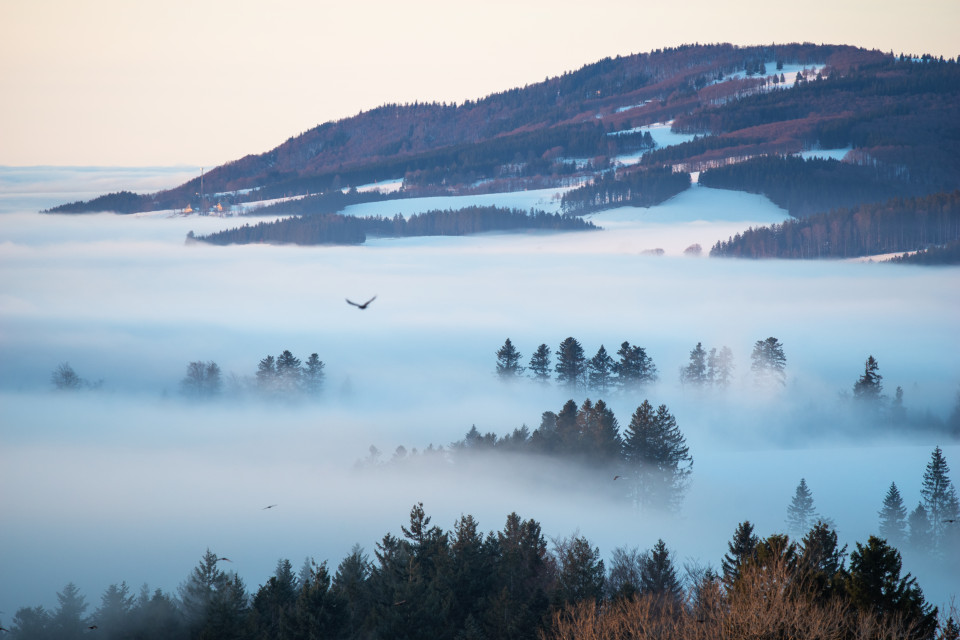 Blick zum Kandel