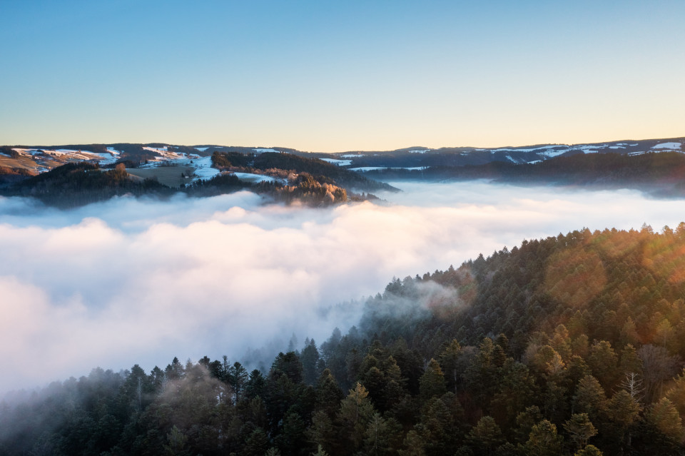 Nebel über dem Ibental