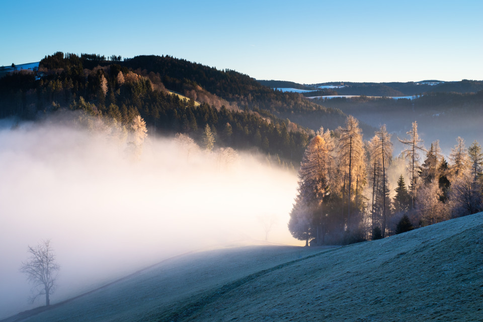 Landschaft an der Nebelgrenze