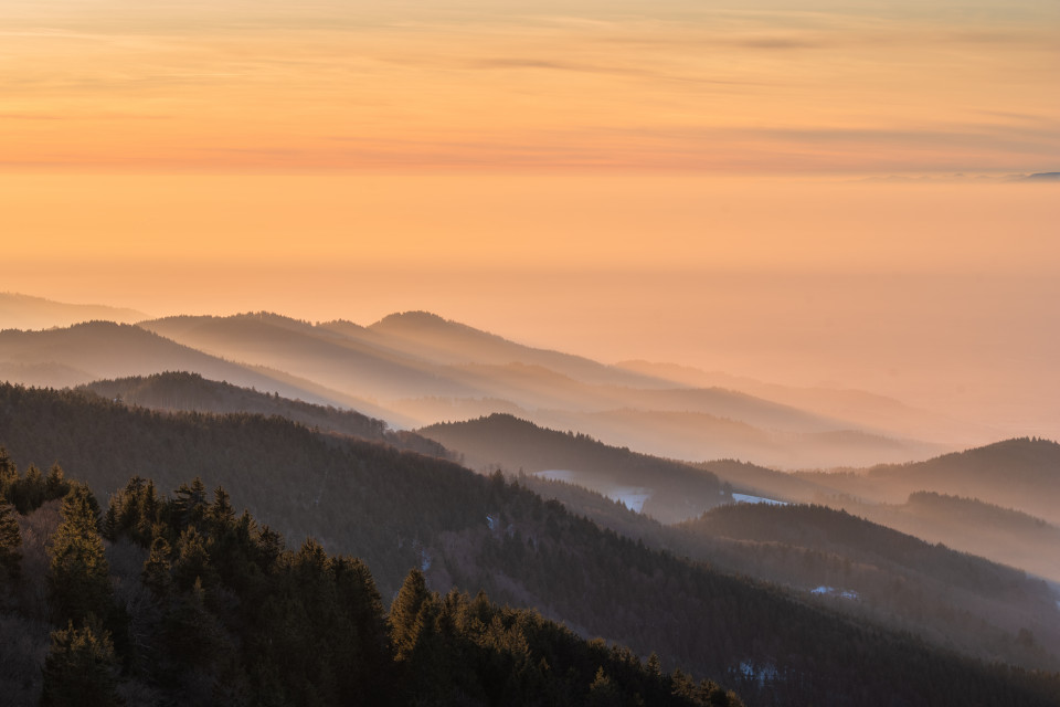 Abendlicht unter dem Schauinsland