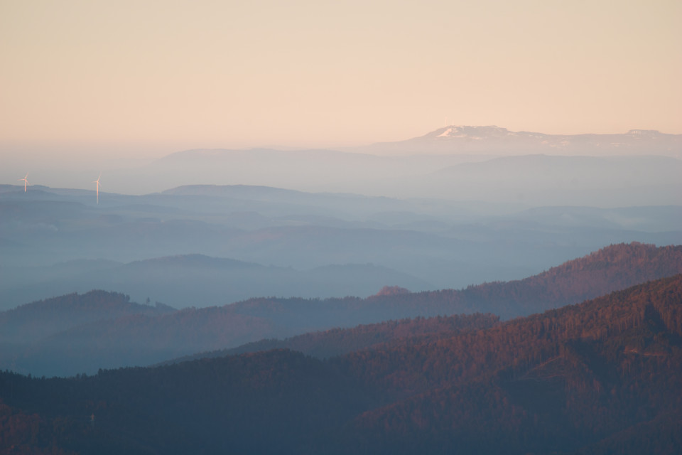 Blick zum Kandel