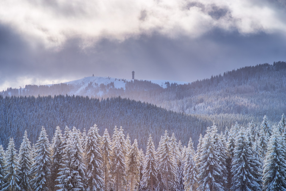 Feldbergblick