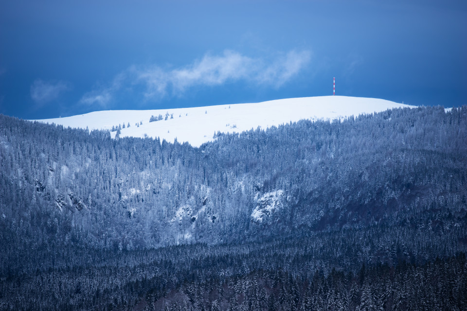 Blick zum Feldberg