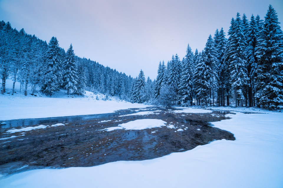 Winterlandschaft bei Blasiwald