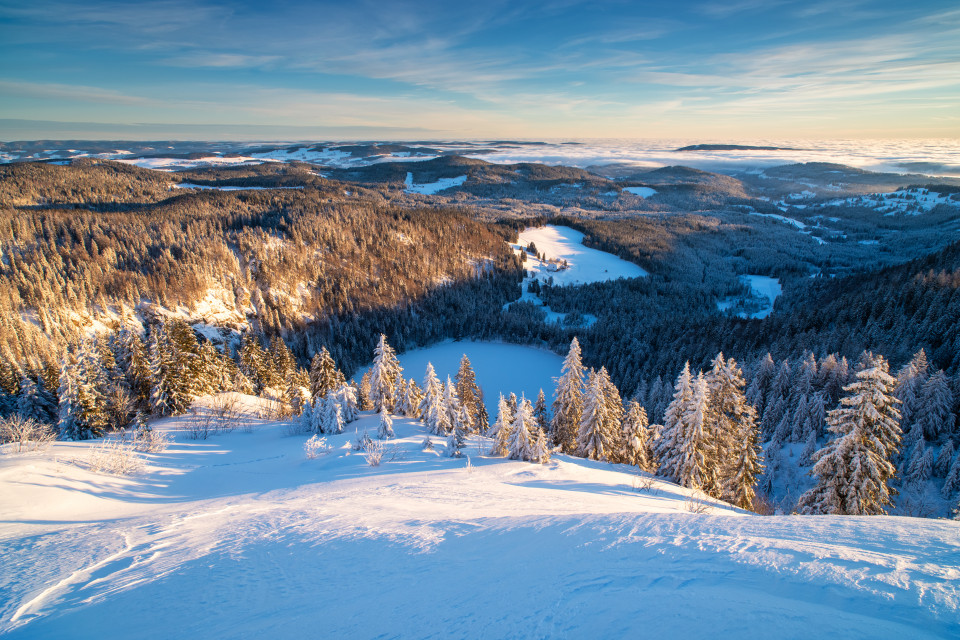 Feldseeblick