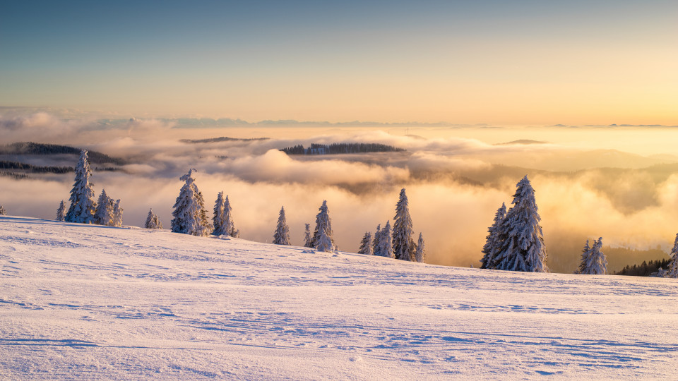 Inversion mit Alpenblick vom Feldberg