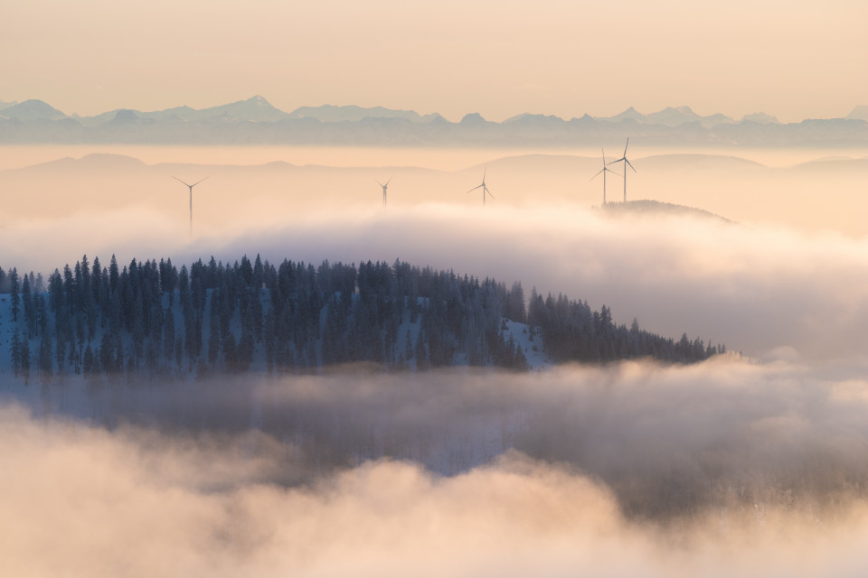 Inversion mit Alpenblick vom Feldberg