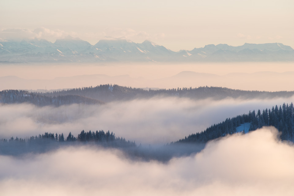 Inversion mit Alpenblick vom Feldberg