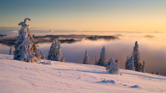 Inversion mit Alpenblick vom Feldberg