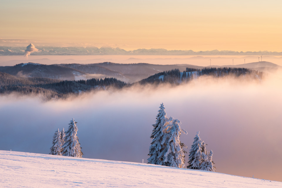 Inversion mit Alpenblick vom Feldberg