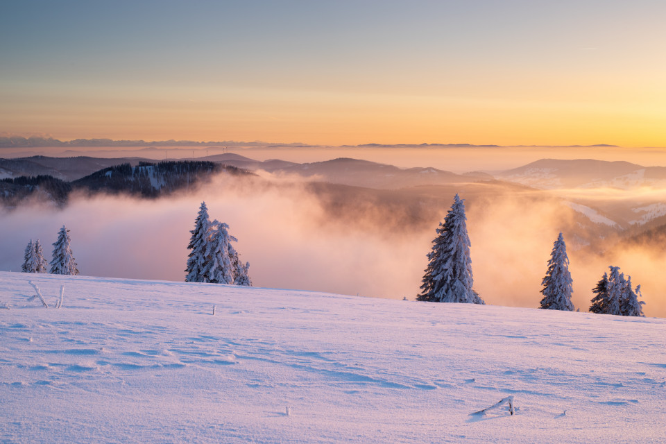 Inversion mit Alpenblick vom Feldberg