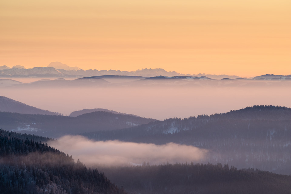 Inversion mit Alpenblick vom Feldberg