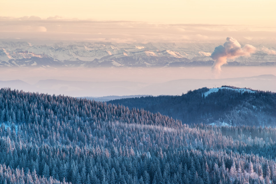 Inversion mit Alpenblick vom Feldberg