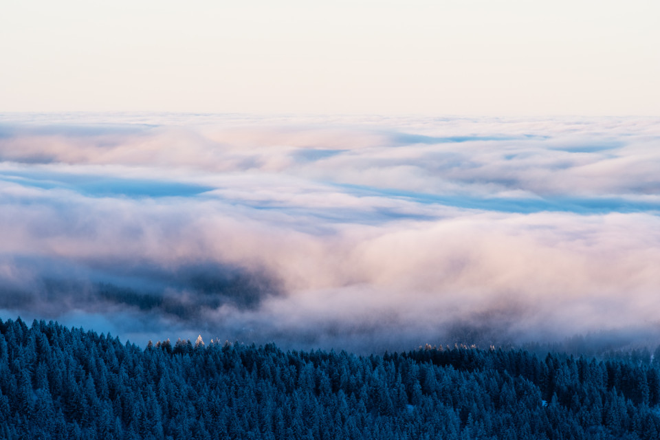 Nebelmeer unter dem Feldberg