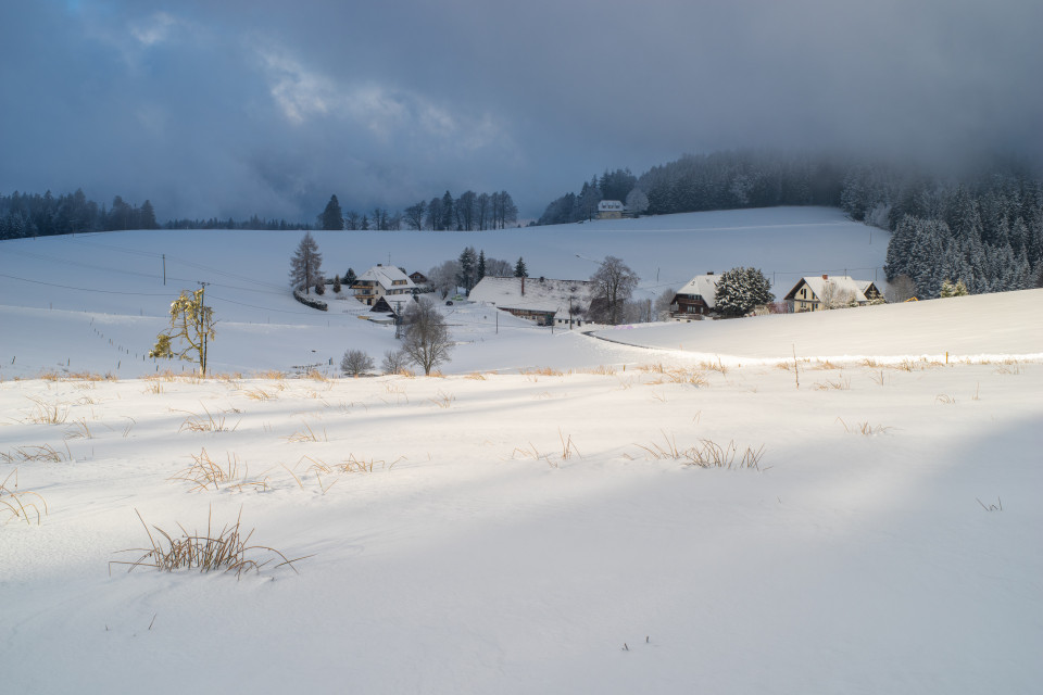 Glashöfe