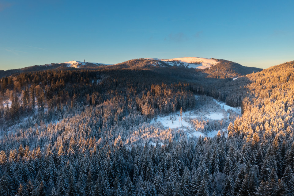 Blick zum Feldberg