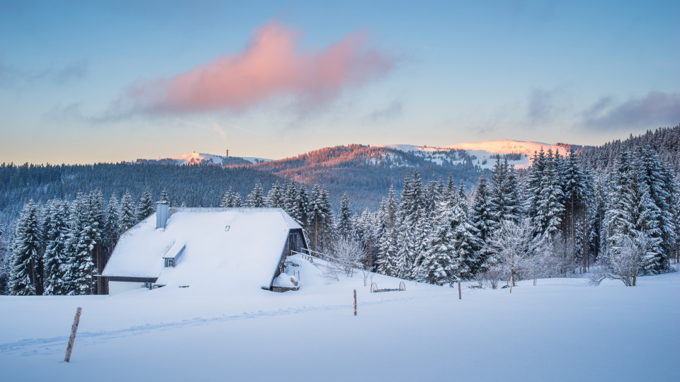 Blick zum Feldberg