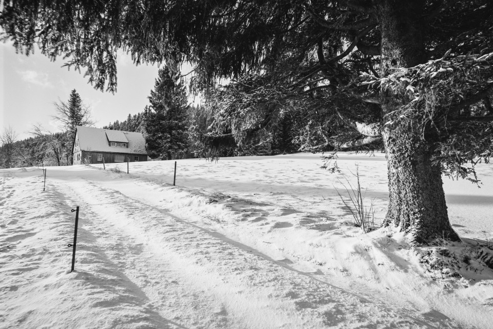 Winterlandschaft bei Bärental